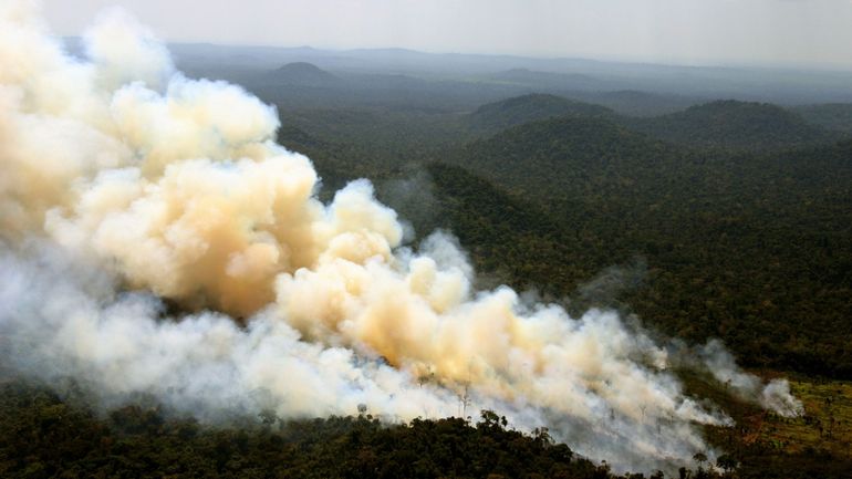 Au Brésil, les poumons de la Terre vont mal : nouveau record de déforestation en avril en Amazonie