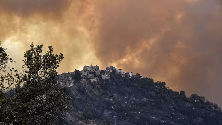 Algérie: plus de 42 morts dans les incendies 