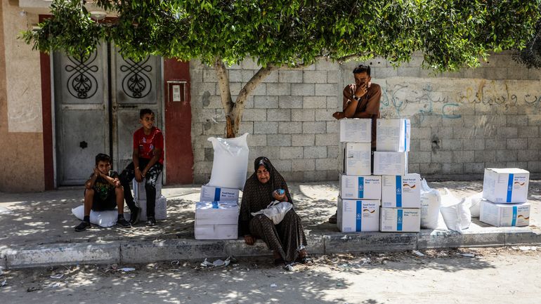 Guerre Israël-Gaza : l'Ukraine dit avoir livré 1000 tonnes de farine de blé d'aide alimentaire