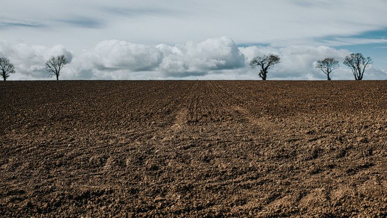 L'institut flamand VITO va cartographier l'agriculture mondiale, une première