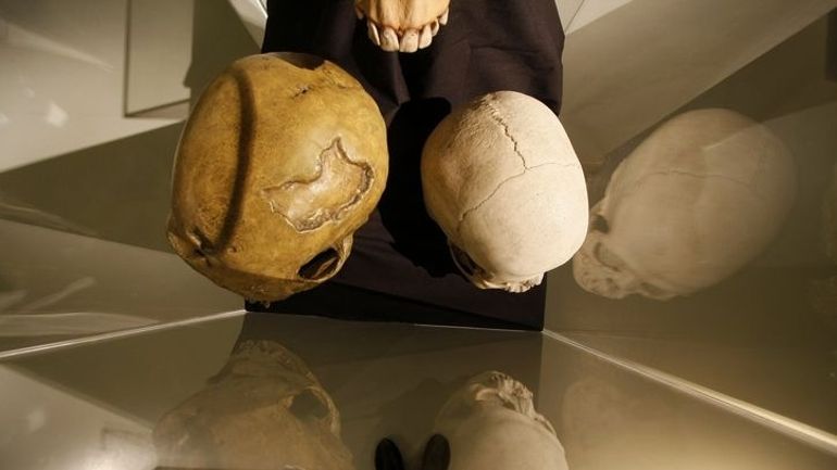 Musées et des institutions scientifiques : les restes humains acquis dans le contexte colonial doivent être restitués, selon le comité de bioéthique