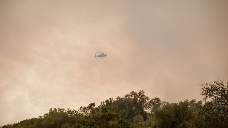 Incendies au Portugal : un bombardier d'eau s'écrase et provoque la mort du pilote