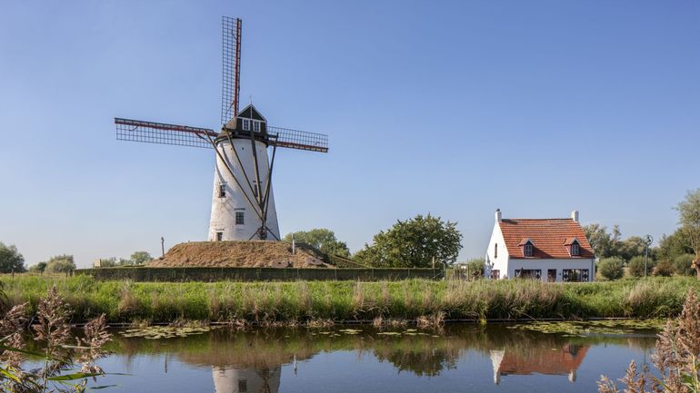 Qualité des eaux en Flandre : le nouveau plan lisier approuvé au Parlement flamand