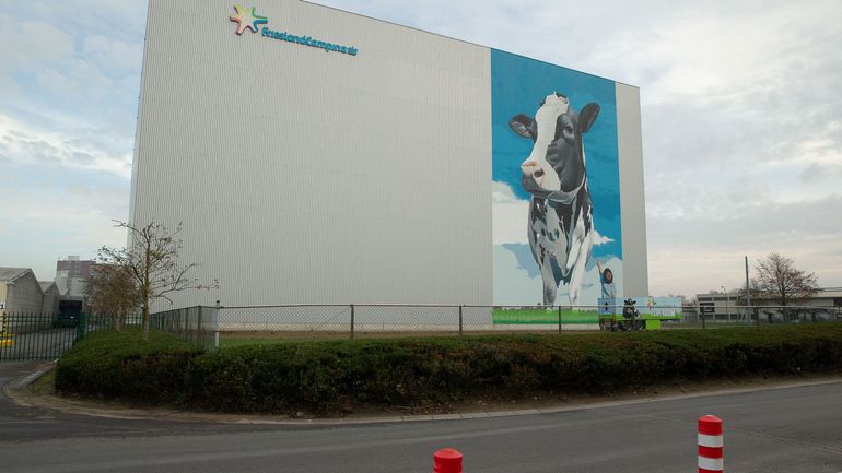 Le producteur laitier FrieslandCampina juge une hausse des prix indispensable