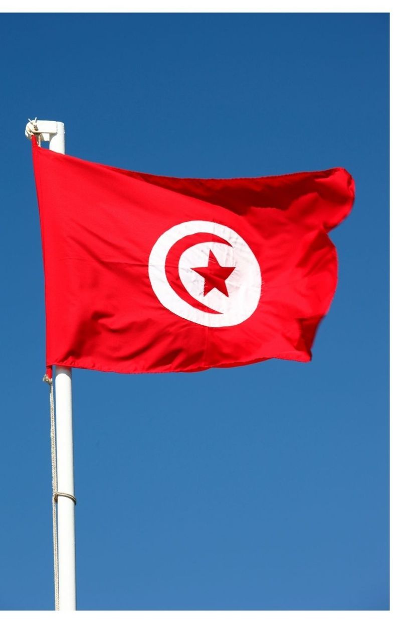 Tunisie : une immigration source de 'violence et de crimes' ou