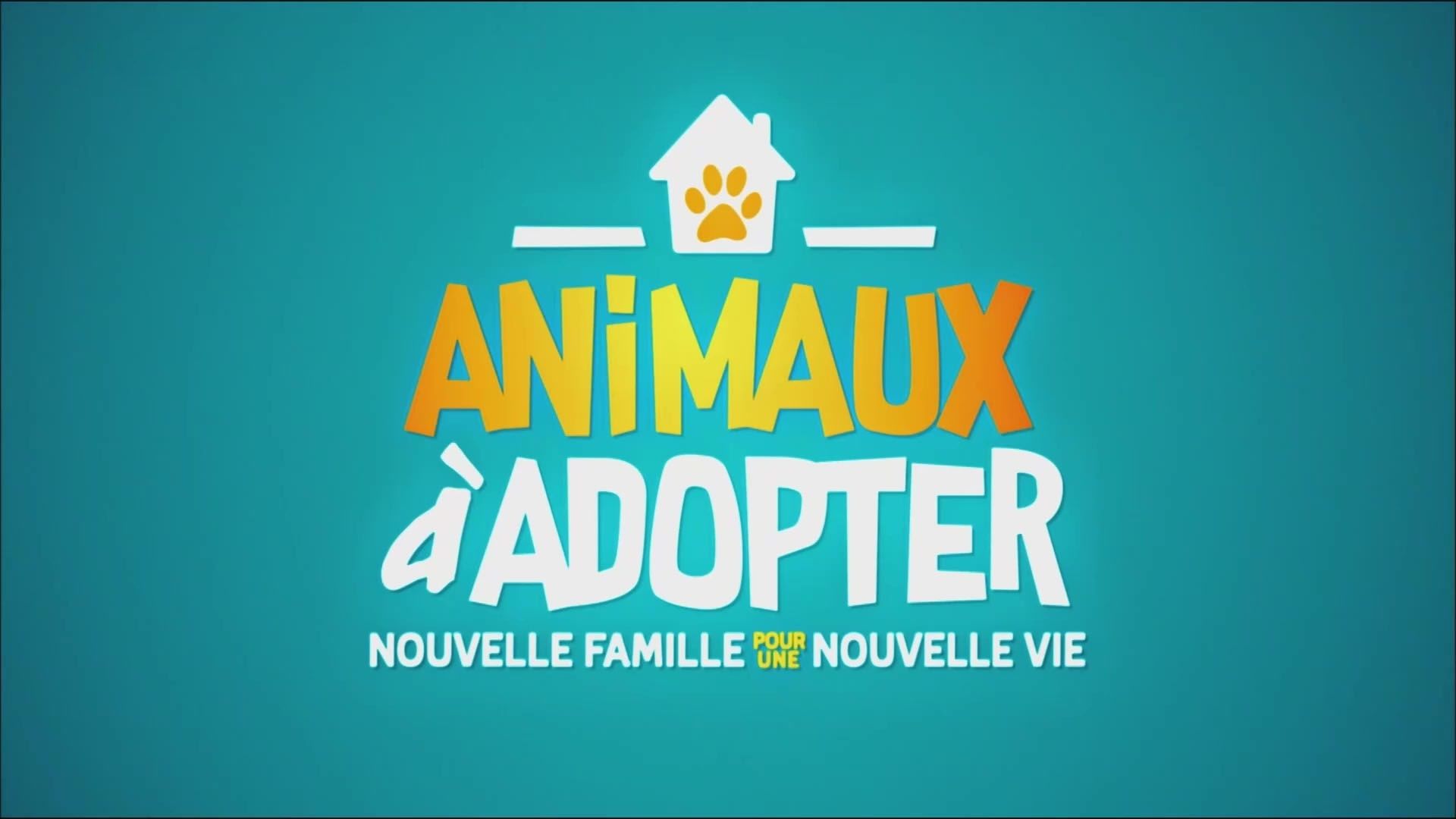 Animaux Adopter Auvio