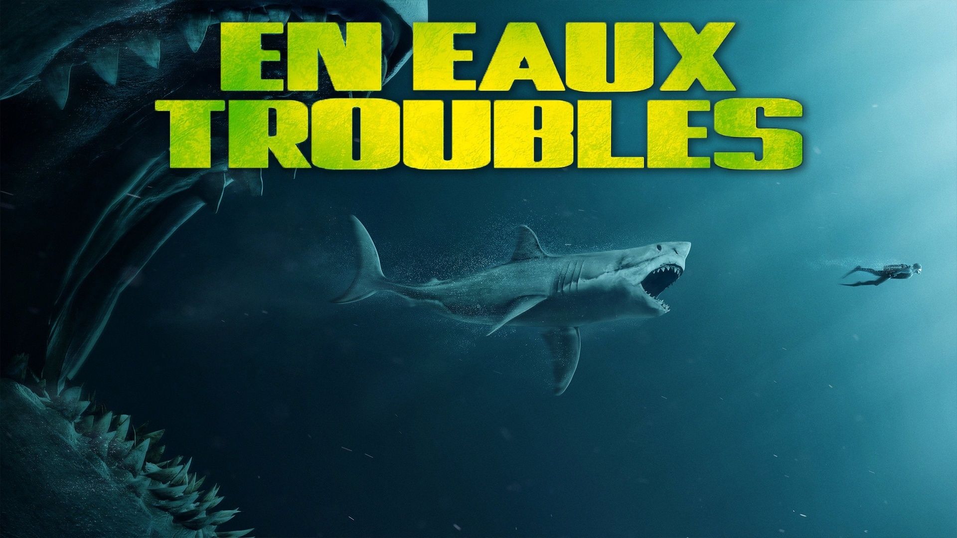 Mystère En Eaux Troubles Combien D' épisodes En eaux troubles - Auvio